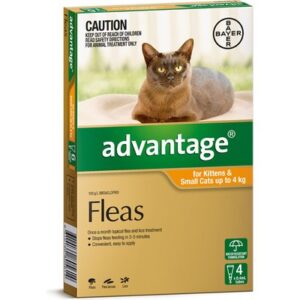 ADVANTAGE FOR SMALL CATS UNDER 4KG 4 PACK (ORANGE)