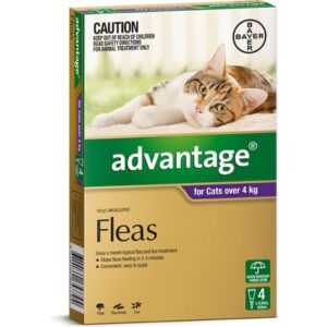 ADVANTAGE FOR LARGE CATS OVER 4KG 4 PACK (PURPLE)