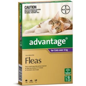 ADVANTAGE FOR LARGE CATS OVER 4KG 6 PACK (PURPLE)