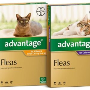 ADVANTAGE FOR LARGE CATS OVER 4KG 4 PACK (PURPLE)
