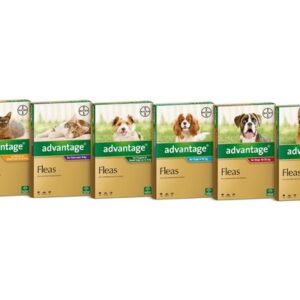 ADVANTAGE FOR SMALL CATS UNDER 4KG 4 PACK (ORANGE)